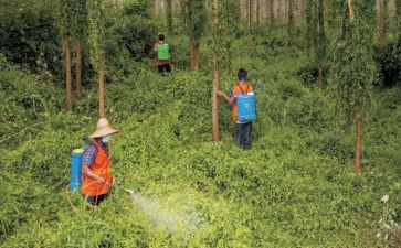 县职业病防治工作总结最新8篇