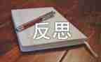 个人总结及反思优质7篇