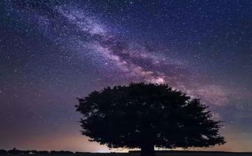 繁星·春水读后感700字8篇