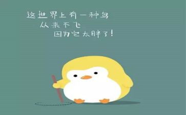 化肥销售月工作总结6篇