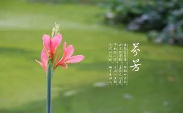 芬芳记忆作文600字5篇