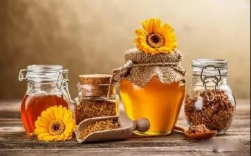 取蜂蜜作文6篇