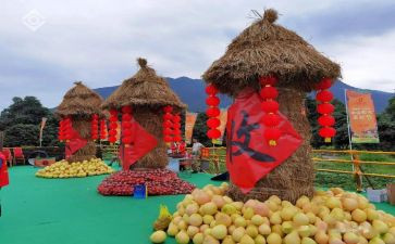 2024丰收节作文精选7篇