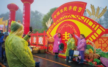 2024丰收节作文8篇