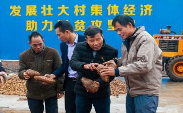 扶贫工作计划范文8篇