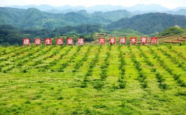 工作扶贫工作报告5篇