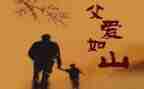 读父亲的爱心得体会精选5篇