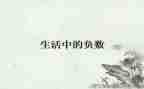 六年级数学负数的认识教案7篇