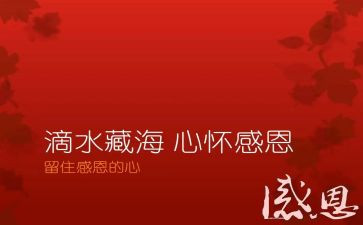 感恩的心800字作文优质8篇