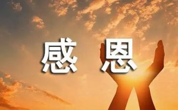 感恩的心800字作文模板7篇