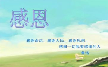 感恩活动小活动总结8篇