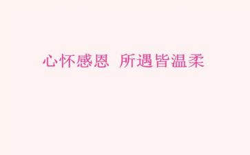 感恩的活动总结最新8篇