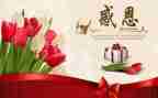 感恩老师学校的演讲稿5篇