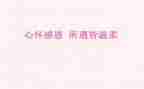 感恩的活动总结最新8篇