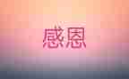 我感激她作文8篇