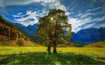 感念师恩的作文7篇