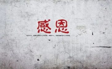 感谢母亲作文400字6篇