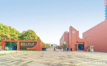 高校新教师工作总结5篇