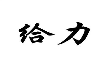 给力公司年终总结精选6篇