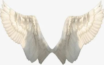 歌的翅膀观后感最新6篇