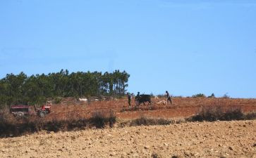 耕耘与收获作文6篇