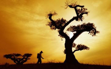 耕耘与收获作文参考6篇