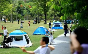 游公园短作文精选7篇