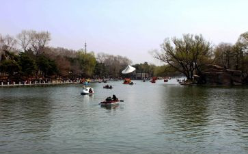 游公园短作文最新7篇