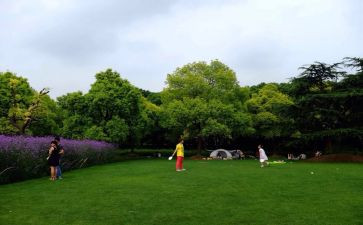 大班逛公园教案7篇