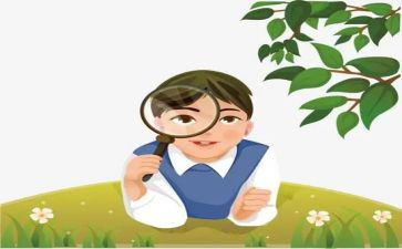 观察三年级的作文5篇