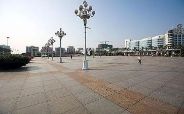 广场的蟋蟀读后感400字7篇