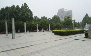 游广场作文600字通用5篇