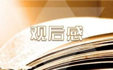 观后感范文600字8篇