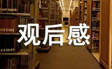 赤子心观后感6篇
