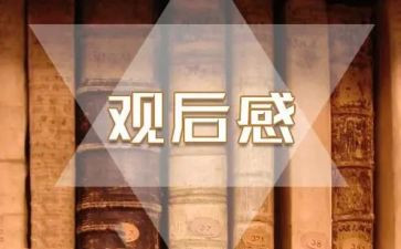 任长霞观后感5篇