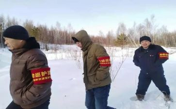 森林管护工作个人总结5篇