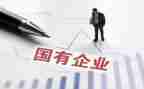 国企个人总结5篇