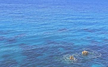 海训个人总结800字通用8篇