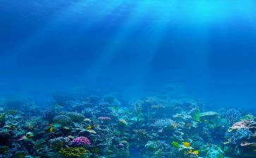 海底两万里心得体会550精选7篇