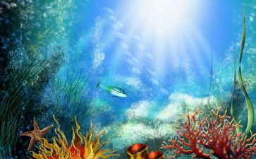 海底2万里,读后感推荐5篇
