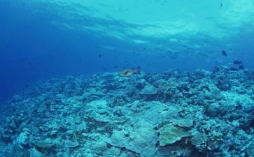 海底两万里心得体会400推荐7篇