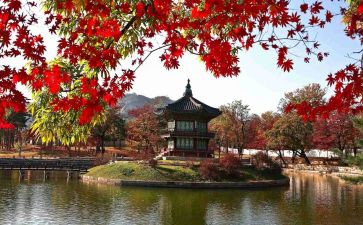 我在韩国作文7篇