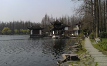杭州市范本合同5篇