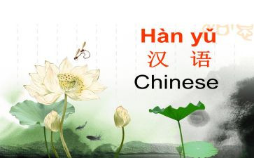 毕业生登记表汉语言文学自我鉴定5篇