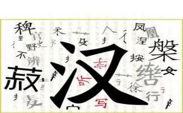 我的汉字情作文6篇