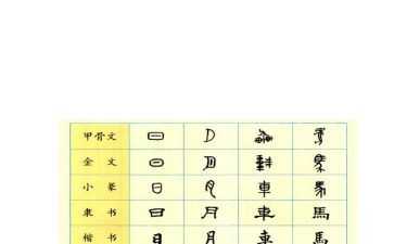 画说汉字的读后感5篇