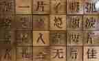汉字的活动总结5篇