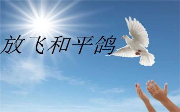 战争和平读后感精选6篇