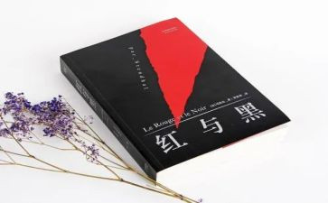 ?w红与黑读后感精选6篇