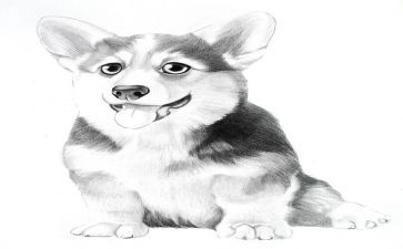 幼儿园大班古诗《画》教案7篇